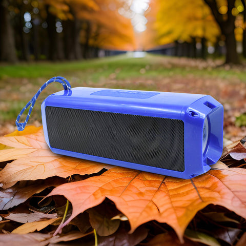 Portable Wireless Rechargeable Bluetooth Speaker